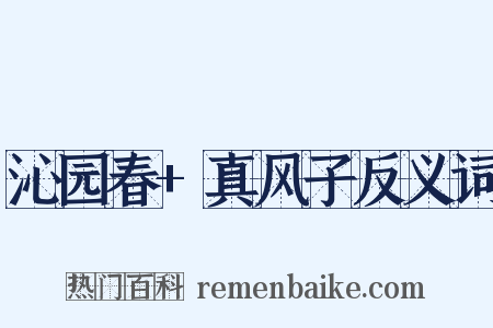 沁园春+真风子反义词是什么意思的图片